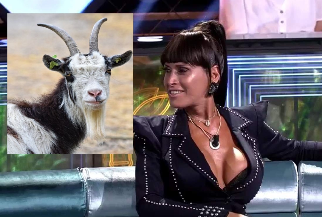 Este es el concursante de Supervivientes que huele a «cabra» según Lara Sajen